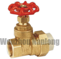 Brass Gate Valve With PP-R END